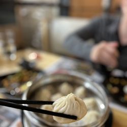 Mama Lu's Dumpling House - #1. / Juicy Pork Dumplings (10)