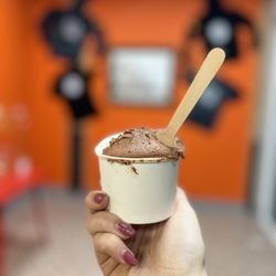 Gulino Gelato - Yogurt & Chocolate - Small
