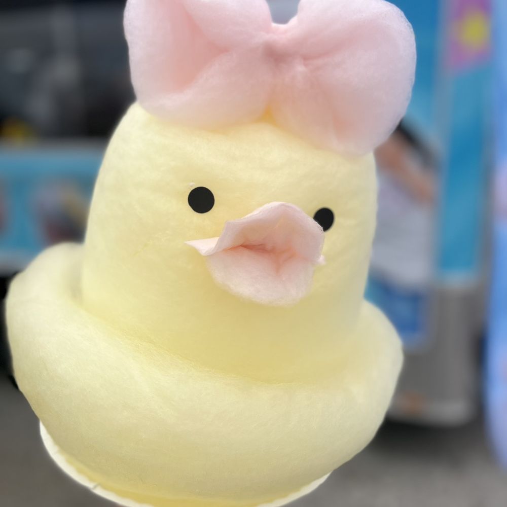 Melania Cotton Candy - Duck Cotton Candy - Candy Stores Near Me Melania Cotton Candy - Duck Cotton Candy - Candy Stores Near Me