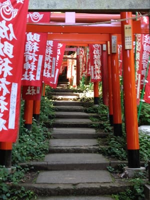 Sasuke Inari Shrine by null