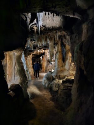 Wonders Of Wildlife National Museum & Aquarium by null