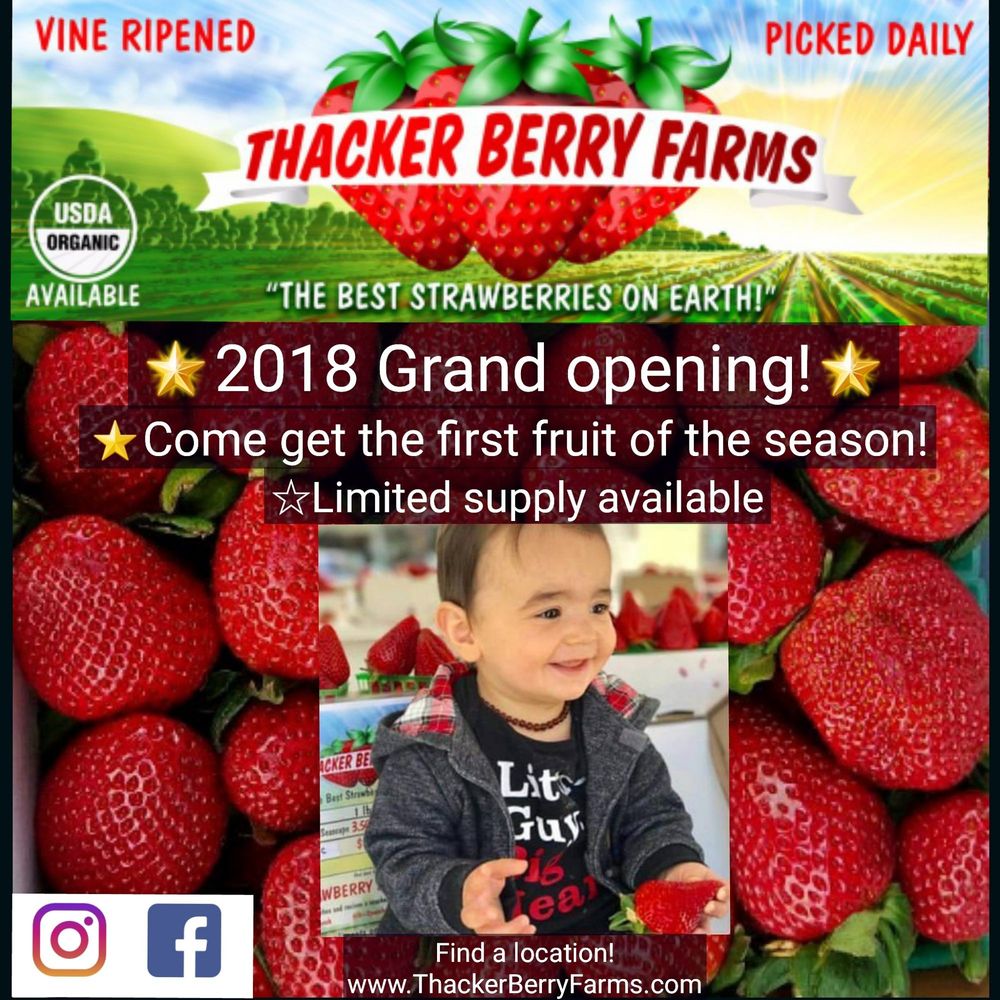 THACKER BERRY FARMS ON SPRING ST. Updated September 2024 11 Photos