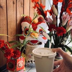 Noodle Gourmet - Owner surprised me with a Hong Kong Milk Tea on the house. It was excellent