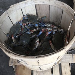 Endurance Seafood