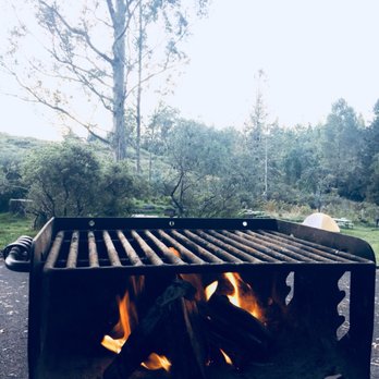 Hosmer Grove Campground - Campgrounds Near Me - Kula, Hawaii