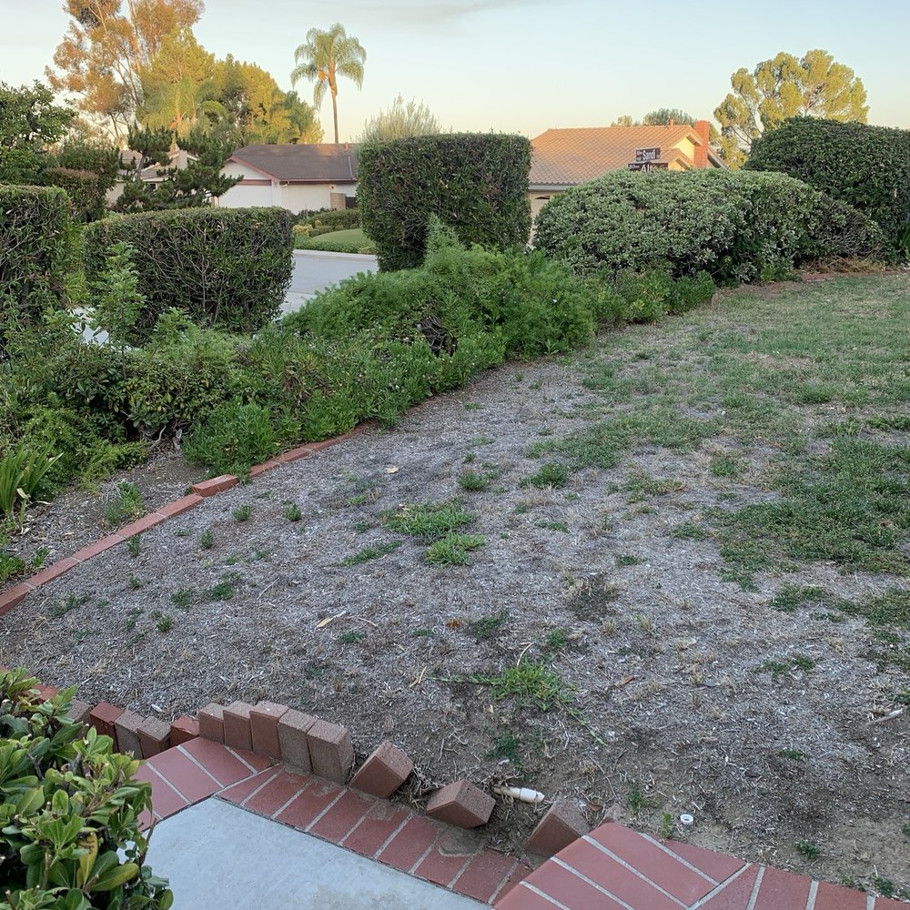 Turf Plus Pro - Before - Artificial Turf Near Me Turf Plus Pro - Before - Artificial Turf Near Me
