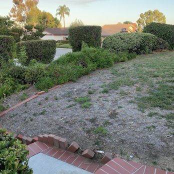 Turf Plus Pro - Before - Artificial Turf Near Me