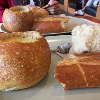 Panera Bread - Sandwiches Near Me - Gainesville, Florida Panera Bread - Sandwiches Near Me - Gainesville, Florida