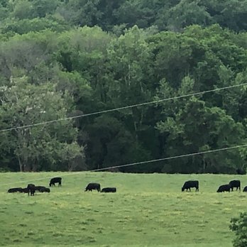 Jefferson Vineyards - Views - Wineries Near Me - Charlottesville, Virginia