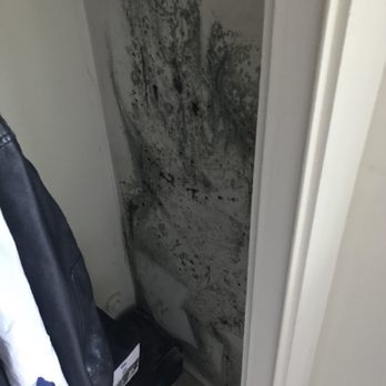 Clair Del Gardens - Mold in the closet. - Apartments Near Me - Long Beach, California