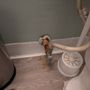 Photo of RCO-Plumbing