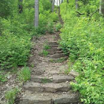 Mt. Airy Forest - The stone steps... climbing these is not for the faint of heart. They seem to go on and on and on... - Parks Near Me - Cincinnati, Ohio