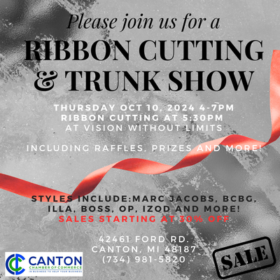 Vision Without Limits