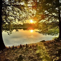 Secret Lake Park