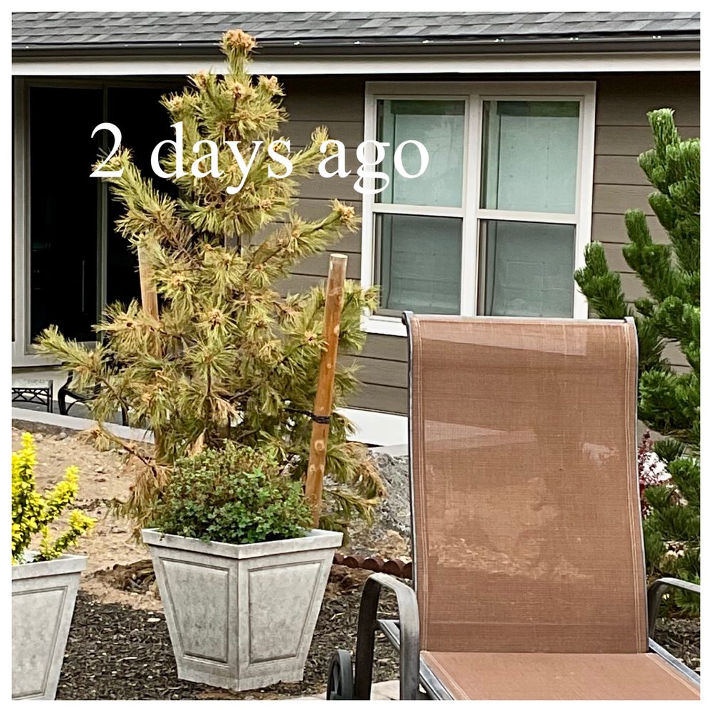 EASTSIDE GARDENS Updated October 2024 15 Photos & 52 Reviews 61780 SE 27th St, Bend