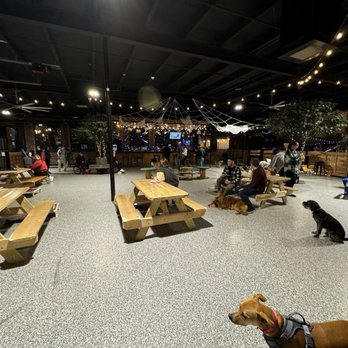 Park-9 Dog Bar - Bars Near Me - Everett, Massachusetts Park-9 Dog Bar - Bars Near Me - Everett, Massachusetts