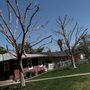 Central Valley Landscaping