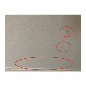 Floors To Go - black marks and scratches they left on my freshly painted walls. - Flooring Near Me - San Jose, California