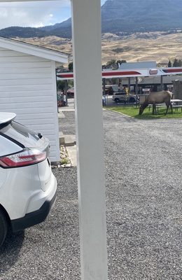 Hillcrest Cottages by null