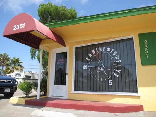 Canine To Five by null