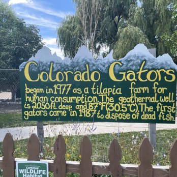 Colorado Gators Reptile Park - Zoos Near Me - Mosca, Colorado