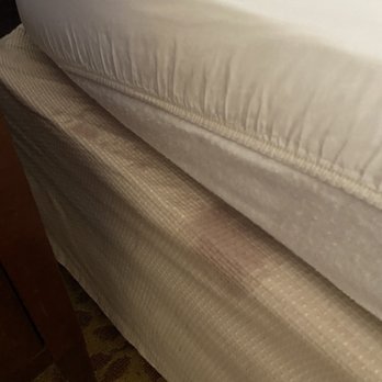 Stamford Marriott - Blood bed frame - Hotels Near Me - Stamford, Connecticut Stamford Marriott - Blood bed frame - Hotels Near Me - Stamford, Connecticut