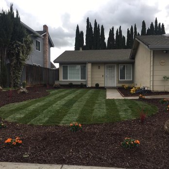 All One Landscape - New front yard! - Landscaping Near Me All One Landscape - New front yard! - Landscaping Near Me