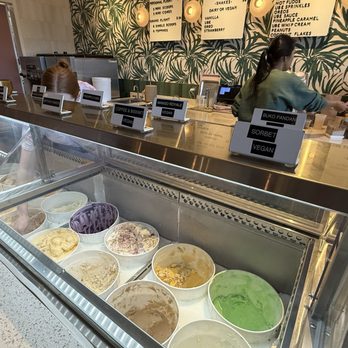 Sampaguita - Ice Cream & Frozen Yogurt Near Me - Orlando, Florida Sampaguita - Ice Cream & Frozen Yogurt Near Me - Orlando, Florida
