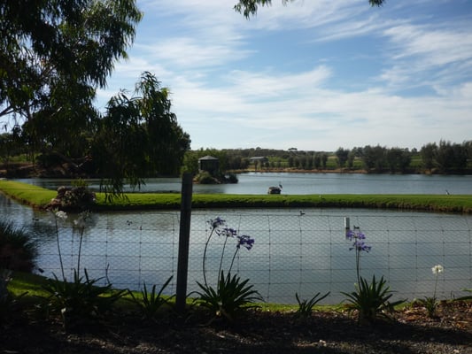 Stonewell Cottages & Vineyards by null