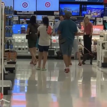 Target - Dog pulling and sniffing everything - Department Stores Near Me - Manteca, California