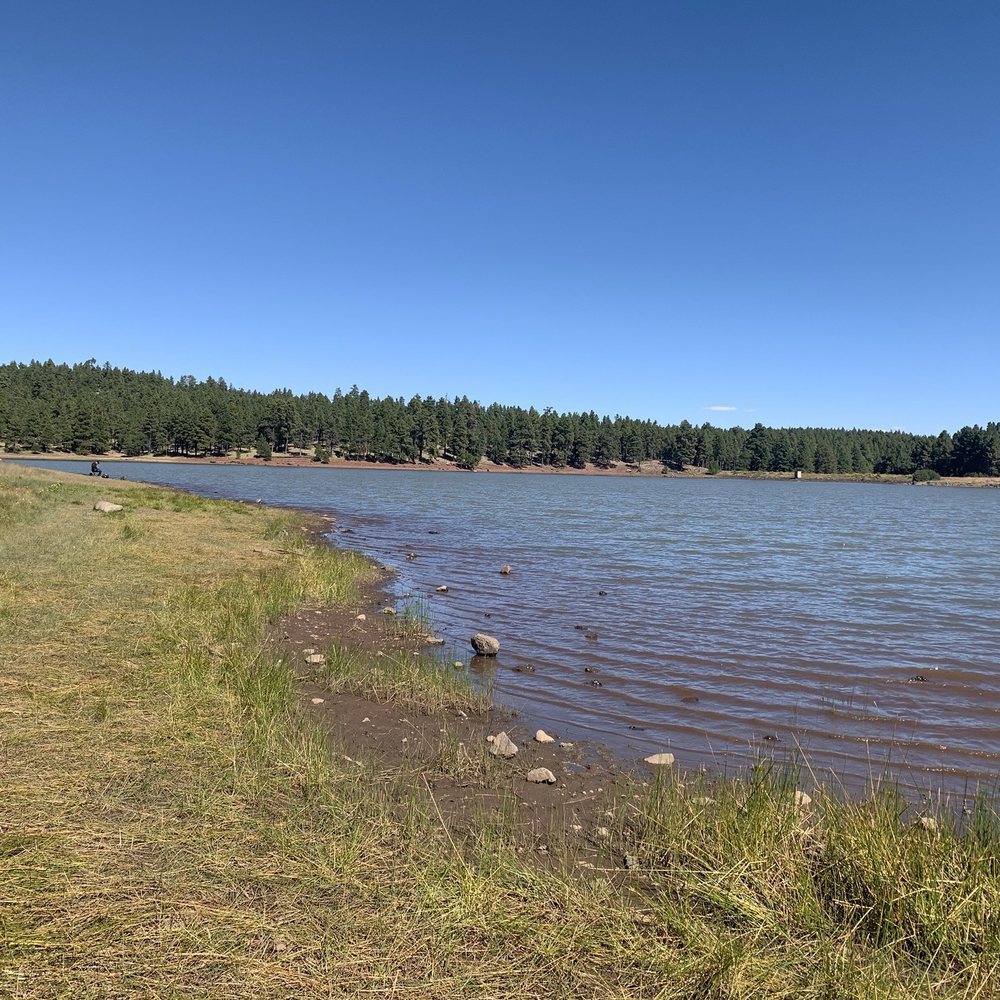 Dogtown Lake Campground - Lake view - Campgrounds Near Me - Williams, Arizona Dogtown Lake Campground - Lake view - Campgrounds Near Me - Williams, Arizona