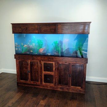LotsaFishies Aquarium Service - All installed in the new location - Aquarium Services Near Me LotsaFishies Aquarium Service - All installed in the new location - Aquarium Services Near Me