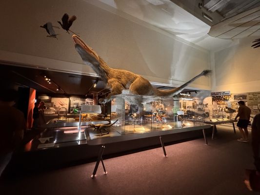 Phillip & Patricia Frost Museum of Science by null Phillip & Patricia Frost Museum of Science by null