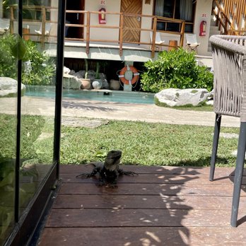 Restaurante Mezzanine - Thai Near Me - Tulum, ROO