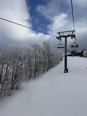 Timberline Mountain by null