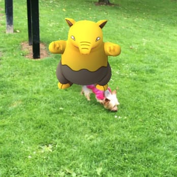 Hazelbank Park - Parks Near Me - Newtownabbey, NTA