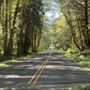 Photo of July Creek Picnic Area Trailhead