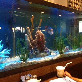 Captains Place - One of the 3 fish tanks - Seafood Near Me - Acushnet, Massachusetts