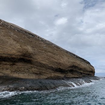 Maui Reef Adventures - Molokini Crater - Snorkeling Near Me - Ma'alaea, Hawaii Maui Reef Adventures - Molokini Crater - Snorkeling Near Me - Ma'alaea, Hawaii