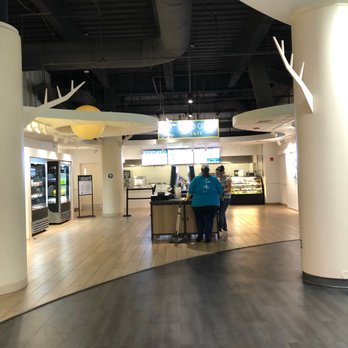 4Roots Café - Very nice cafe in the Orlando Science Center - Salad Near Me - Orlando, Florida