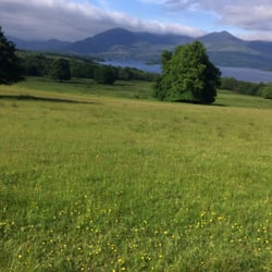 Killarney Riding Stables - View inside the park.