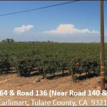 The Whitlatch Group - Real Estate Agents Near Me - Visalia, California