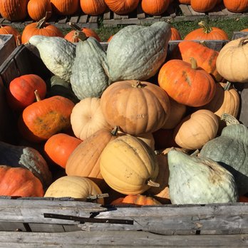 Riverview Farm - Fruits & Veggies Near Me - Plainfield, New Hampshire