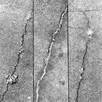 Asphalt Fusion - a crack in the concrete - Masonry/Concrete Near Me - Seaford, Delaware