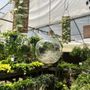Photo of Cold Creek Nurseries