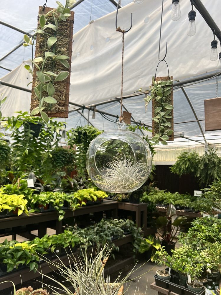 Cold Creek Nurseries