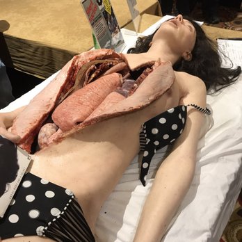 Texas Frightmare Weekend - Gore Galore - Festivals Near Me - Dallas, Texas Texas Frightmare Weekend - Gore Galore - Festivals Near Me - Dallas, Texas