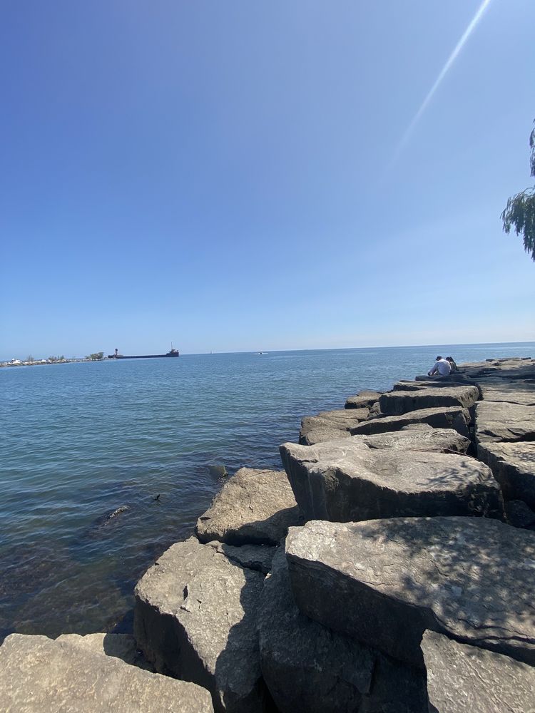 J.C. Saddington Park Image