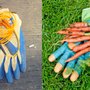 Photo of Recycle Technologies