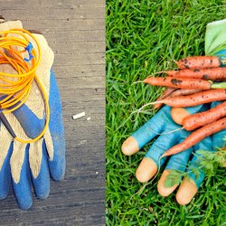 Recycle Technologies - Recycling is Good For Our Planet